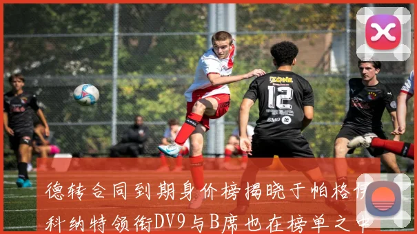 德转合同到期身价榜揭晓于帕格伊科纳特领衔DV9与B席也在榜单之中