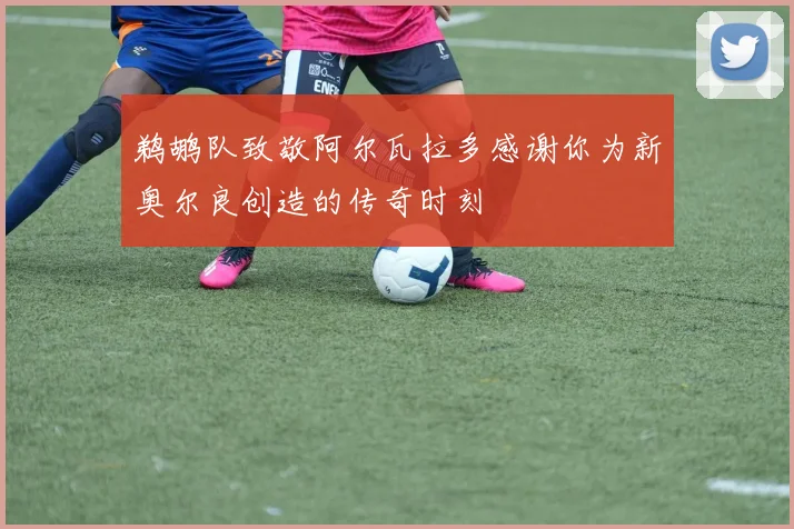 鹈鹕队致敬阿尔瓦拉多感谢你为新奥尔良创造的传奇时刻