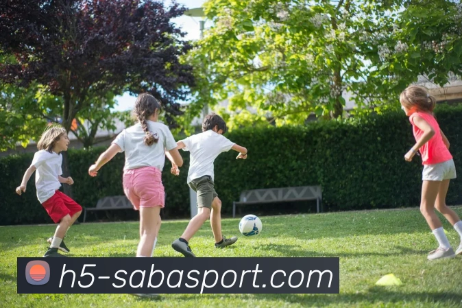 沙巴足球官网平台生态图